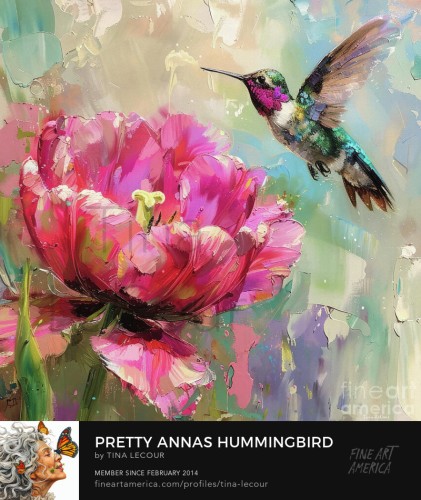 This is a painting of a beautiful Anna's Hummingbird flying over a big bright pink tulip flower.