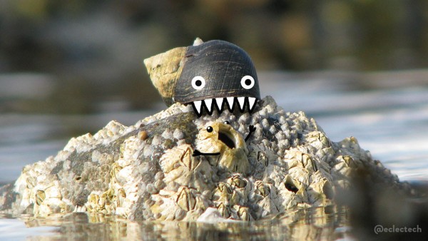 A photo of a sea snail shell sitting on top of a barnacle covered rock peeking out of a loch. Wide staring eyes have been drawn onto the shell, with pointy teeth biting down on to the rock. A barnacle below has upturned arms and eyes adding to the existing gap, which looks like an open screaming mouth.