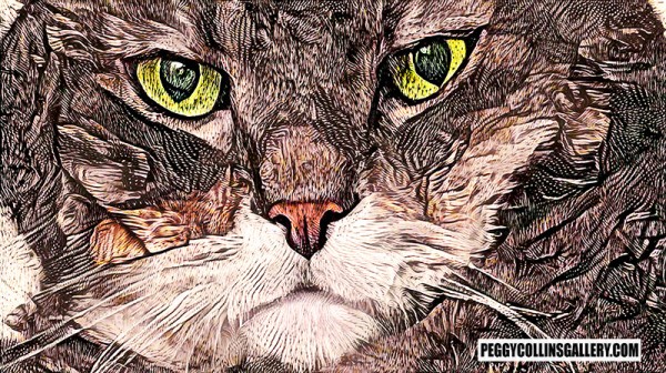 Artwork of a grumpy looking tabby cat, by artist Peggy Collins.