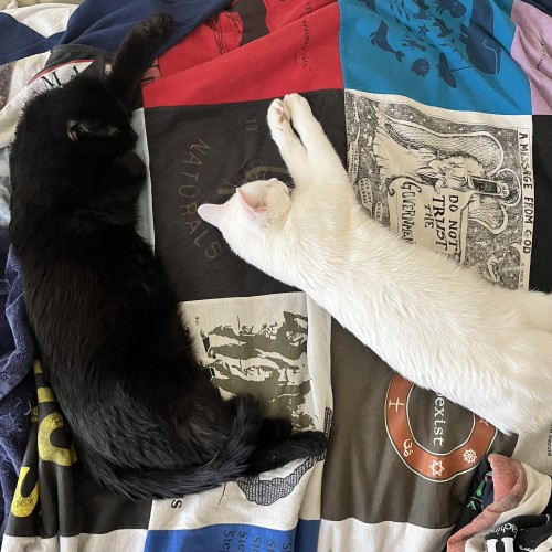 a white cat and a black cat are stretched out sleeping on a colorful quilt made from old t-shirts