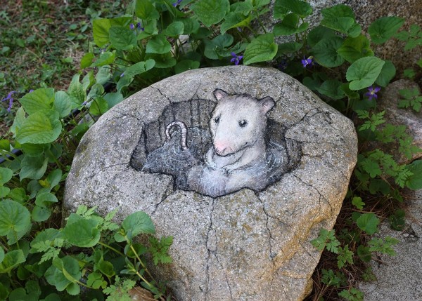 Zeichnung auf einem Stein am Wegrand, umrahmt von grünen Pflanzen.
Es sieht so aus, als ob ein mit Wasser gefülltes Loch im Stein wäre und darin ein Opossum genüsslich badet.