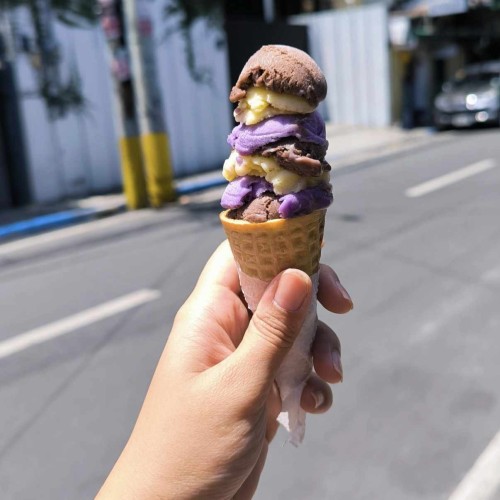 A hand holding a brown ice cream cone with small scoops of light brown chocolate ice cream, light purple ube ice cream, and yellow cheese ice cream.
