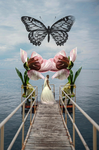 This is a photo collage of a dock on a lake. A woman in a white dress is at the end of the dock with two pink ranunculus flowers next to her. And a drawing of a butterfly is above her.