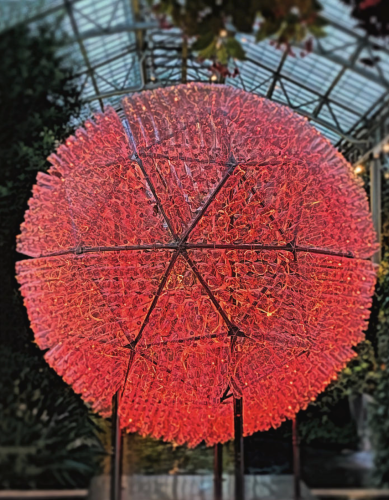 Green Flash Sphere, Longwood Gardens light installation by artist Bruce Munro, 2022. A monumental sphere constructed from plastic bottles stands at the end of the East Conservatory. A cable fiber inside each bottle allows the sphere to assume the colors of the rising and setting sun, changing over time in intensity and hue. Every 5 minuets an elusive "green flash" mimics the natural phenomenon that sometimes occurs at sunrise or sunset when light on the horizon creates a momentary spot of iridescent green.

Bruce Munro is an internationally known artist best known for large-scale, light-based installations inspired by his passion for creating shared experiences. Munro draws on experience, memory, dreams, and imagination to create works that spark wonder and joy.