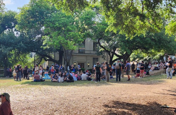 Small groups of students gather on the UT Austin south lawn under some shade. 