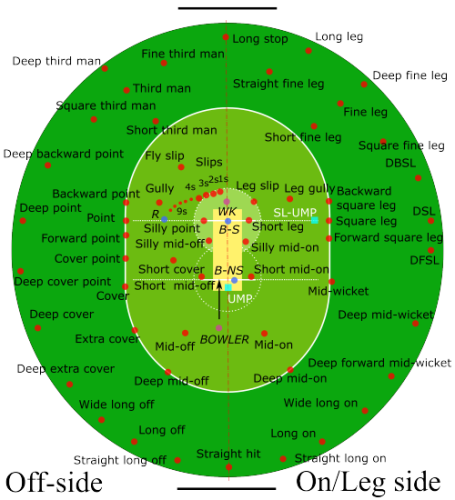 A graphic representation of a cricket pitch that looks vaguely like a vulva. Throughout it are scattered terms like "silly mid on" and "backward square leg"