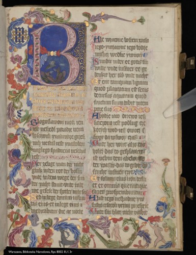 A splendid, luxuriously-ornamented page in a medieval manuscript: folio 3 recto in Warsaw, National Library, Rps 8002 III. 2 columns of medieval Polish in grey ink and gold leaf, with slightly enlarged capital letters in gold and colours. Column 2 has 26 lines of script; column 1, only 19 as it opens with an enormous initial ‘B’ formed of curling pink leaves and ribbons on a blue ground patterned with swirling golden vines. Within the B sits a bearded man, cross-legged, clad in voluminous robes. Extending from the B, spilling down the left margin and pooling in margin at the bottom of the page, is a dense, undulating wave of leaves and flowers painted in rich colours with splashes of gold. In the lower margin, life lurks amidst this foliage: a young woman sits, smiling, beneath a frond bearing a green parrot, and a stag reaches up to nibble at the leaves as 2 nude human figures frolic nearby: 1 dances with their back to us; the other blows a large horn.
