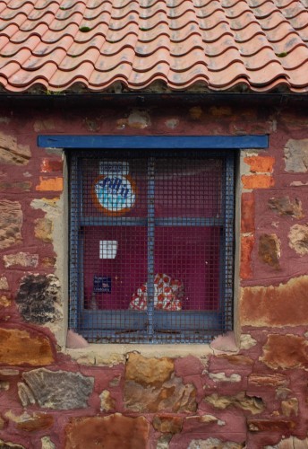 Window advertising fish in Pittenweem.