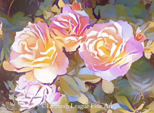 White Roses Garden Image - horizontal. White Roses in the garden. Petals tinged with pink and purple hues surrounded by muted green hues on the foliage. Soft tranquil floral for home or office. Also available in a vertical format.