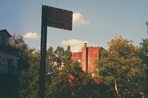 an image developed from 35mm negative film of a scene in Brooklyn sometime in 2022 or 2023. trees extend from the right corner across the frame toward the rear of an old style house with a balcony  and a dormer window at top. sunlight graces the top of the house and onto the trees, offering a warm vibrancy to the brick building seen in a gap in the trees toward the center of the frame. the sky is a pleasantly faint blue with small white fluffy clouds. in the fore, a ‘no parking’ sign hangs tilted.