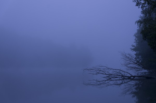 See im Nebel, rechts Bäume, alles Blau nur ein umgestürzter Baum liegt im Wasser.