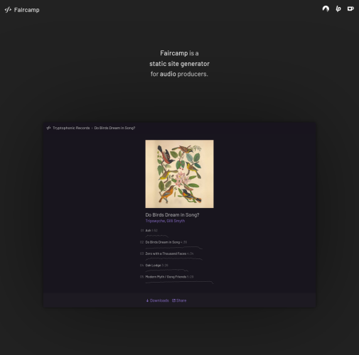 Faircamp website featuring the new dark theme, header and cover image by Tryptophonic Records (the release "Do Birds Dream in Song?")