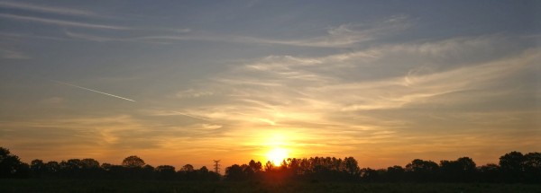 Photo panoramique d'un lever de soleil sur un champ, avec quelques cirrus baignés de lumière dorée. 