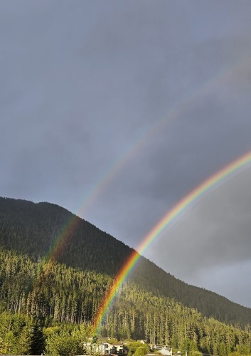 The left side portion of a double rainbow, the bottom band is especially bright. A forest-covered mountain behind with gray skies.