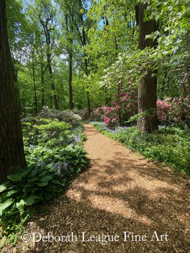 Spring woodland path at Winterthur Museum and Gardens.

A winding woodland path is blanketed with wood chips and flanked by lush greenery and vibrant flowering shrubs. Sunlight filters through the canopy of tall trees, casting dappled shadows on the trail and the colorful underbrush.