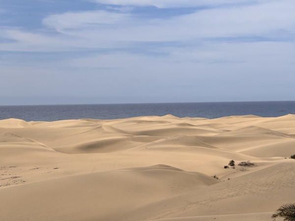 The sand dunes of Maspalomas in front of the Atlantic ocean.