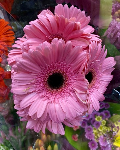 Several bouquets of flowers are in the background. In the center is a bouquet of vibrant pink Gerber daisies.