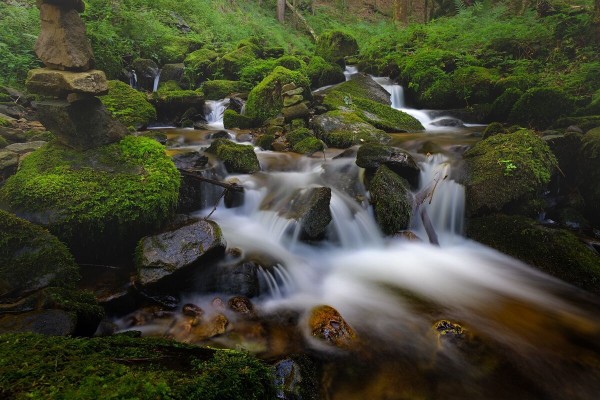Ein Foto einer Wasserfallszene mit kleinen Kaskaden und moosigen Steinen im Wald.