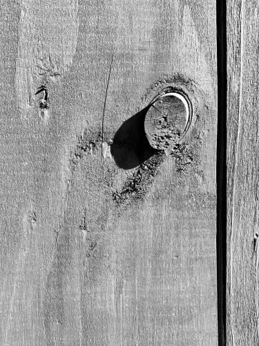 Knot in a wooden gate