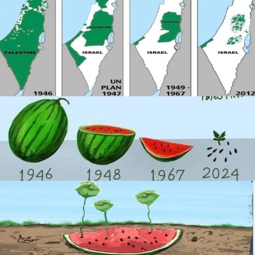 cartoon of Palestine nap shrinking and a watermelon disappearing into seeds