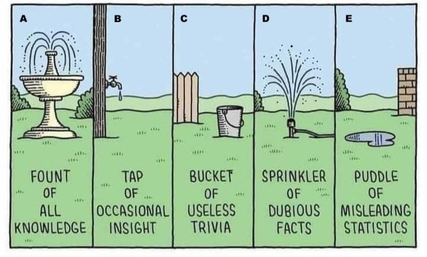 A cartoon strip with five horizontal panes. They display a backyard and various forms of water themed items.

From left to right (A) is the Fount of all knowledge 

(B) is the Tap of occasional insight 

(C) is the Bucket of Useless Trivia

(D) is the Sprinkler of Dubious Facts

(E) is the Puddle of Misleading Statistics