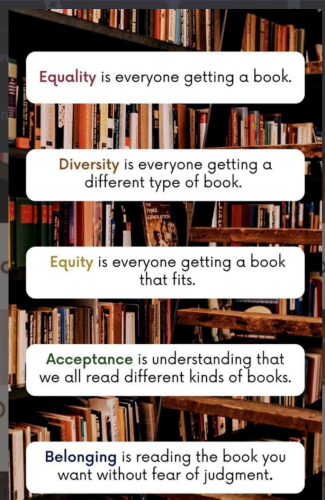 Bookshelves upon which the following is written:

Equality is everyone getting a book.
Diversity is everyone getting a different type of book.
Equity is everyone getting a book that fits.
Acceptance is understanding that we all read different kinds of books.

Belonging is reading the book you want without fear of judgment.