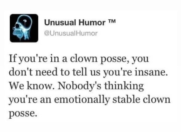 A social media post from @UnusualHumor that says:

If you're in a clown posse, you don't need to tell us you're insane.

We know. Nobody's thinking you're an emotionally stable clown posse.